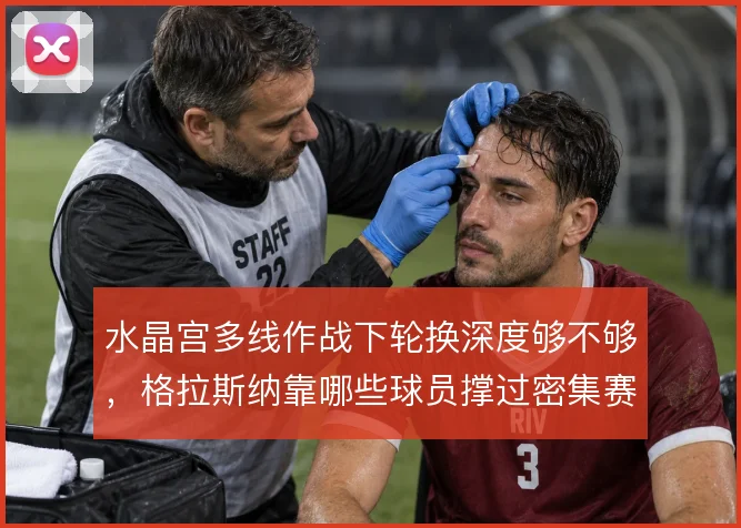 水晶宫多线作战下轮换深度够不够,格拉斯纳靠哪些球员撑过密集赛程