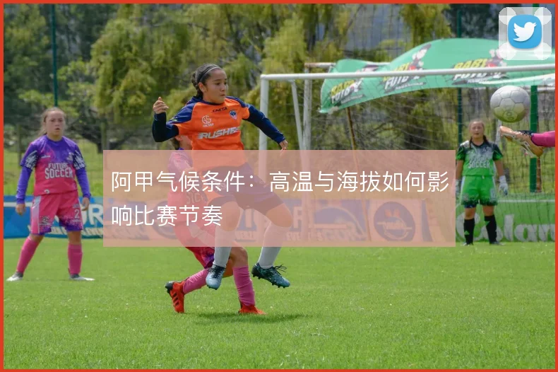阿甲气候条件：高温与海拔如何影响比赛节奏